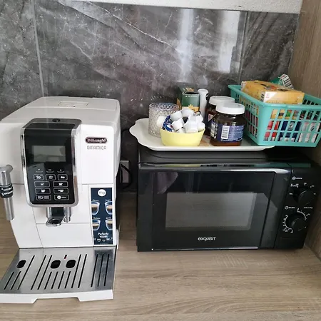 公寓 Ayna, Direkt An Der Schweizer Grenze 巴特塞京根