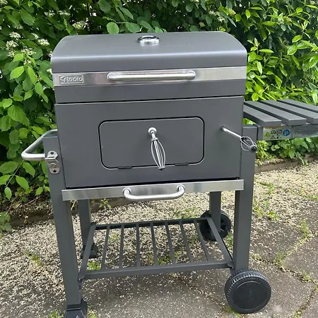 公寓 Ayna, Direkt An Der Schweizer Grenze 巴特塞京根